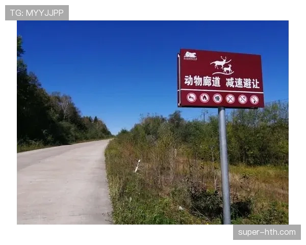 赛道边惊现野生鹿群，多名选手减速避让引发观众欢呼